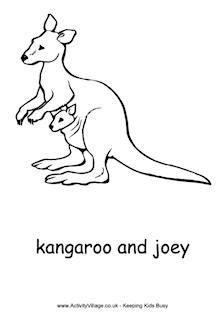 Kangaroo Colouring Pages