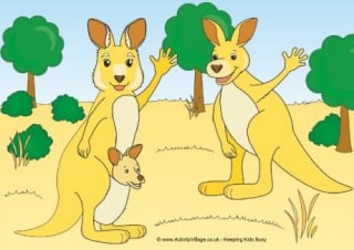 Kangaroo Scene Poster