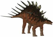 Kentrosaurus Printables for Kids