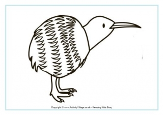 Kiwi Colouring Page 2