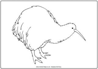 Kiwi Colouring Page