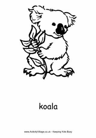 Koala Colouring Page