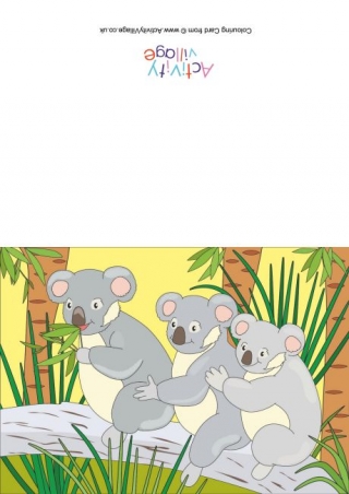 Koala Scene Card