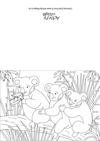 Koala Scene Colouring Card