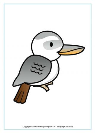 Kookaburra Poster