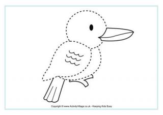 Kookaburra Tracing