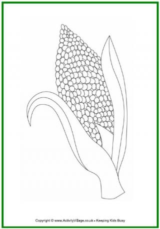 Kwanzaa Colouring Page - Corn