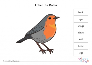 Label Parts Of A Bird