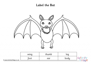 Label the Bat Worksheet