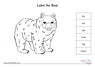 Label the Bear Worksheet