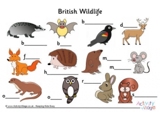 Label the British Wildlife