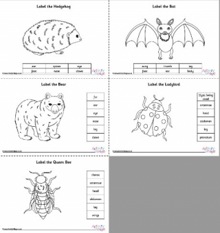 Label the Hibernating Animals Worksheets