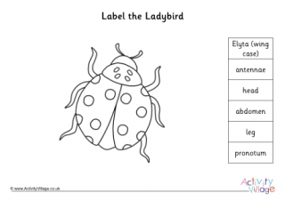 Label the Ladybird Worksheet