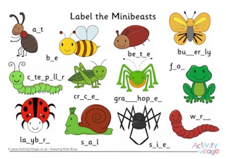 Label the Minibeasts