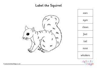 Label The Parts Of A Squirrel