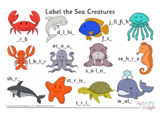 Label The Sea Creatures