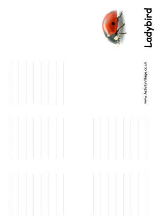 Ladybird Booklet