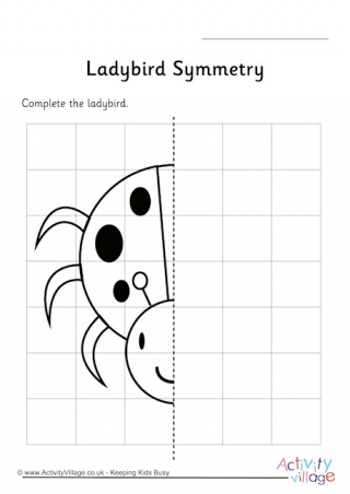 Ladybird Symmetry Worksheet
