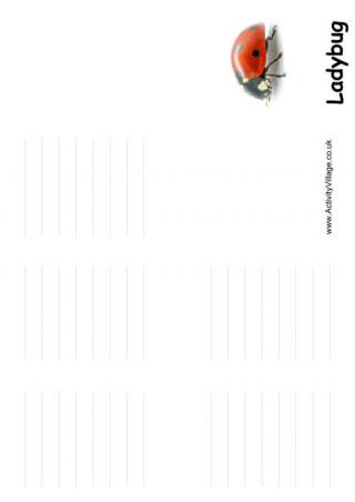 Ladybug Booklet