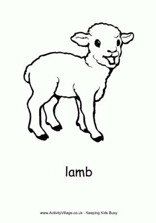Lamb Colouring Page