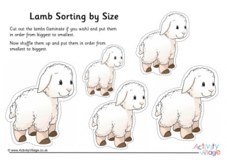 Lamb Size Sorting