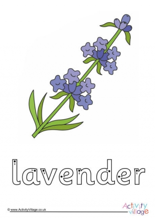 Lavender Finger Tracing