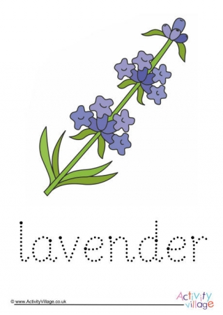 Lavender Word Tracing