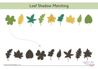 Leaf Shadow Matching