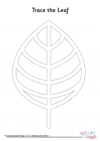 Leaf Tracing Page