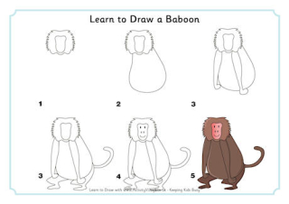 Learn to Draw a Baboon
