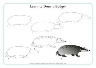 Learn to Draw a Badger 