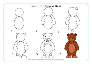 Learn to Draw a Bear