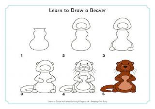 Learn to Draw a Beaver