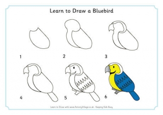 Learn to Draw a Bluebird
