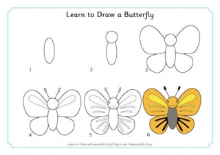Learn to Draw a Butterfly