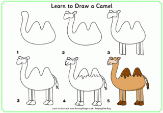 Learn to Draw a Camel