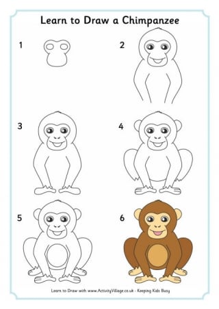 Learn To Draw A Chimpanzee