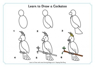 Learn to Draw a Cockatoo