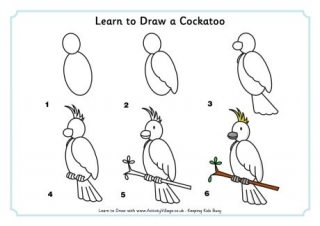 Learn To Draw Birds This are quick guides that will help you with the size of the body and the position of the add the legs of the bird by drawing 2 half ovals or circles for the 'furry'/ 'feathery' parts of the legs and two parallel lines that stick out a bit. learn to draw birds