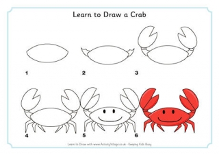 Learn to Draw a Crab