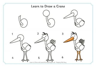 Learn to Draw a Crane