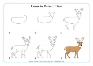 Learn to Draw a Deer