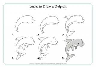 Learn to Draw a Dolphin