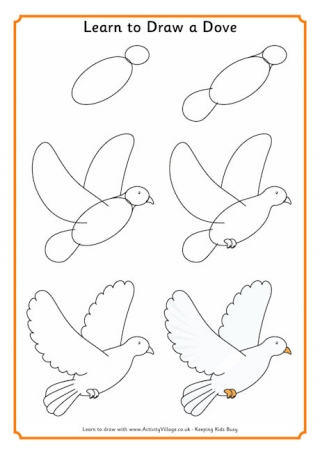 Learn to Draw a Dove
