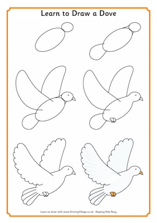Learn to Draw a Dove