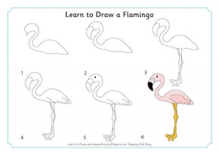Learn to Draw a Flamingo