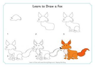 Learn to Draw a Fox