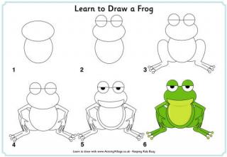 Learn to draw a frog