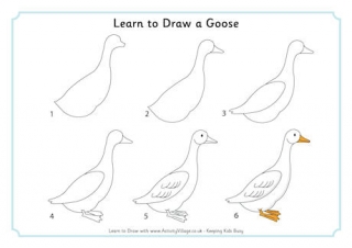 Learn to Draw a Goose