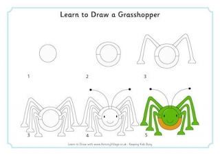 Learn to Draw a Grasshopper